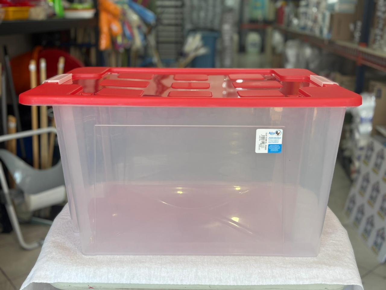 CAJA ORGANIZADOR 55LTOS