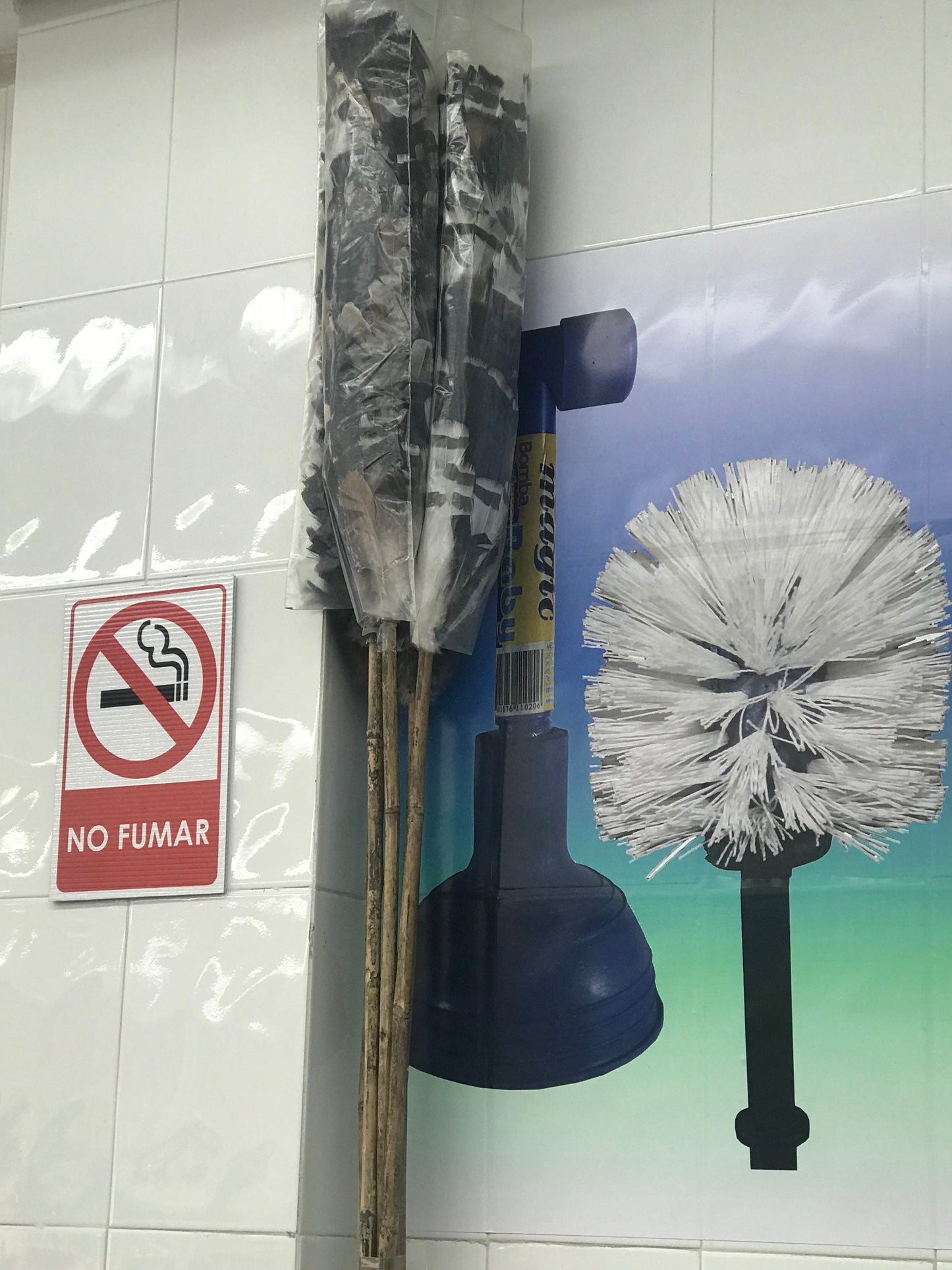 PLUMERO 3 METROS