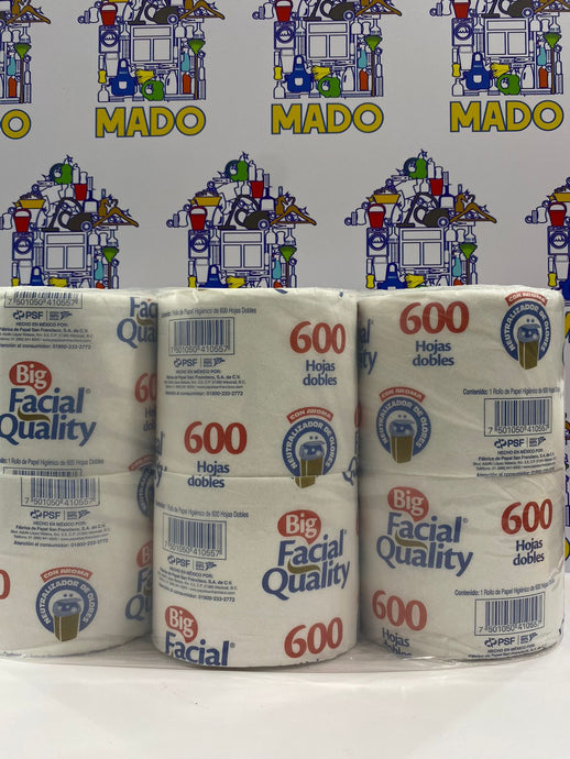 PAPEL BIG FACIAL 600H. 6 ROLLO