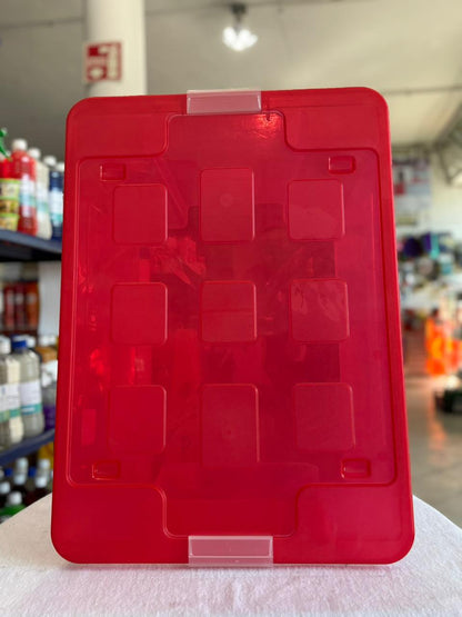 CAJA ORGANIZADOR 55LTOS